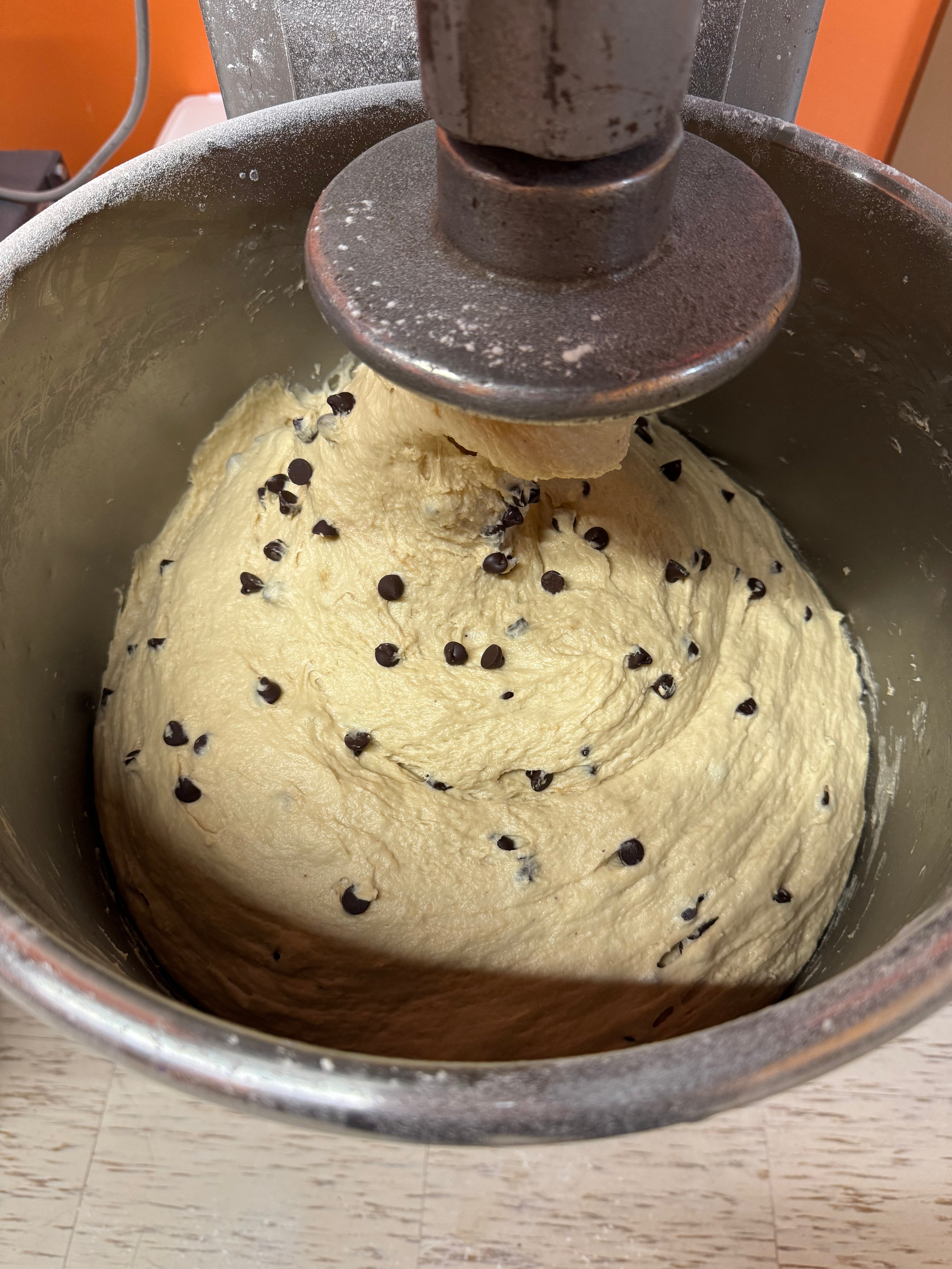Sourdough Bakers-Active Live Sourdough Dehydrated Starter