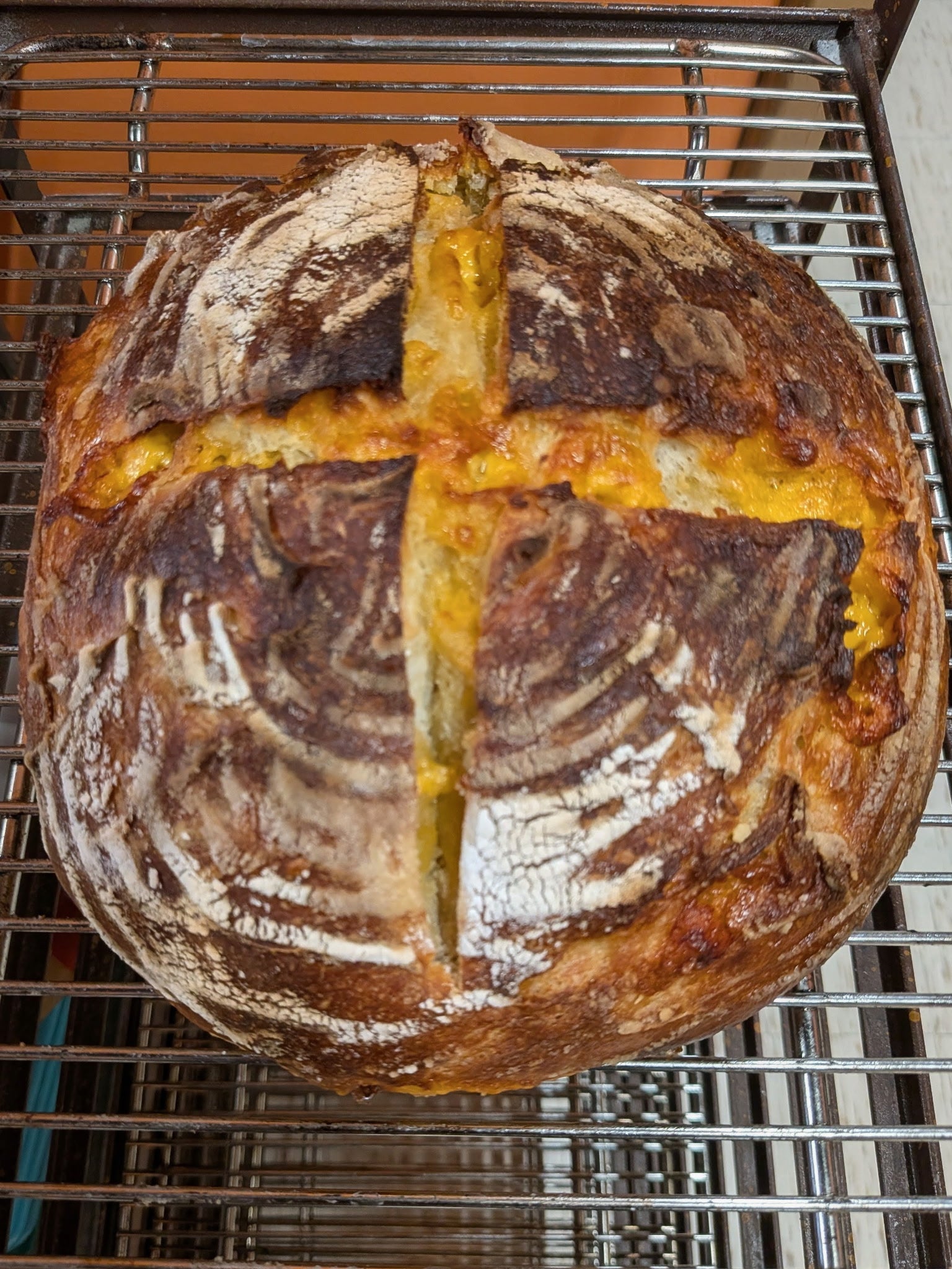 Sourdough Bakers-Active Live Sourdough Dehydrated Starter