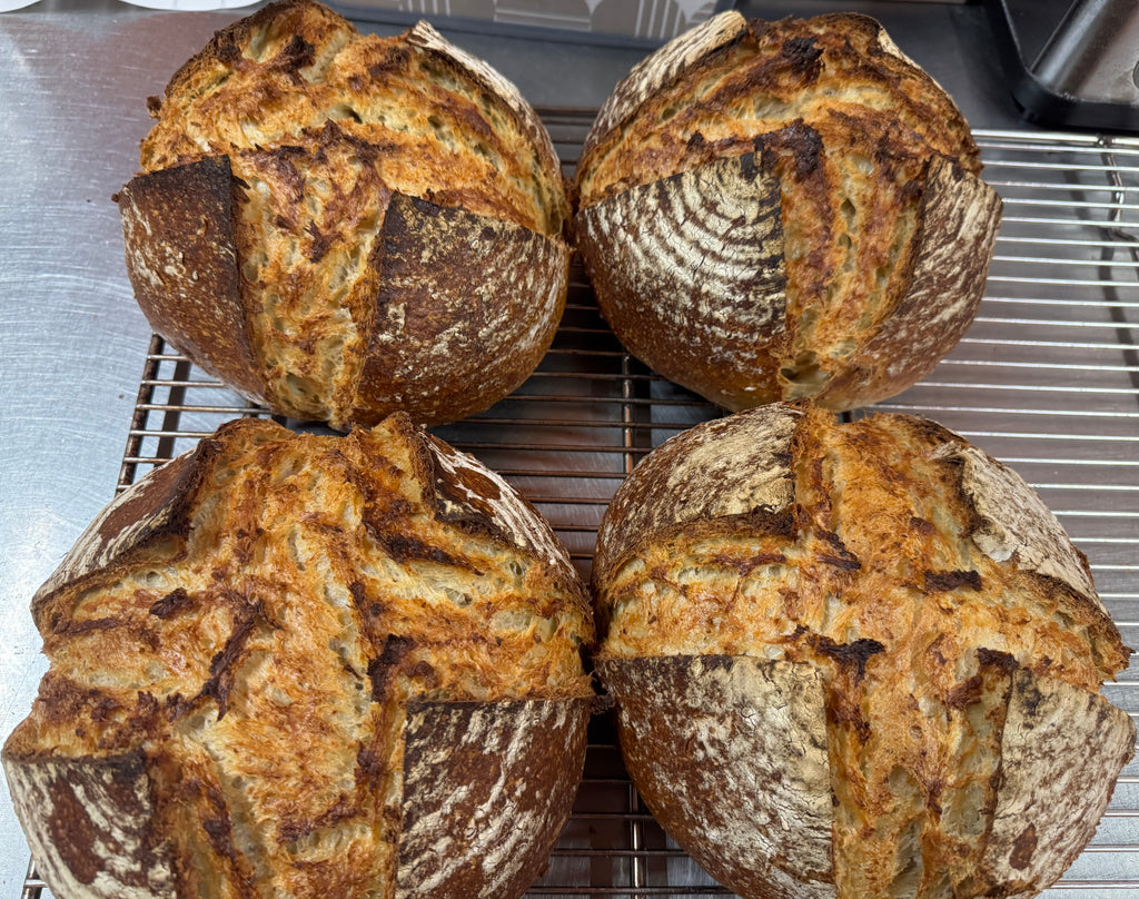 Sourdough Bakers-Active Live Sourdough Dehydrated Starter