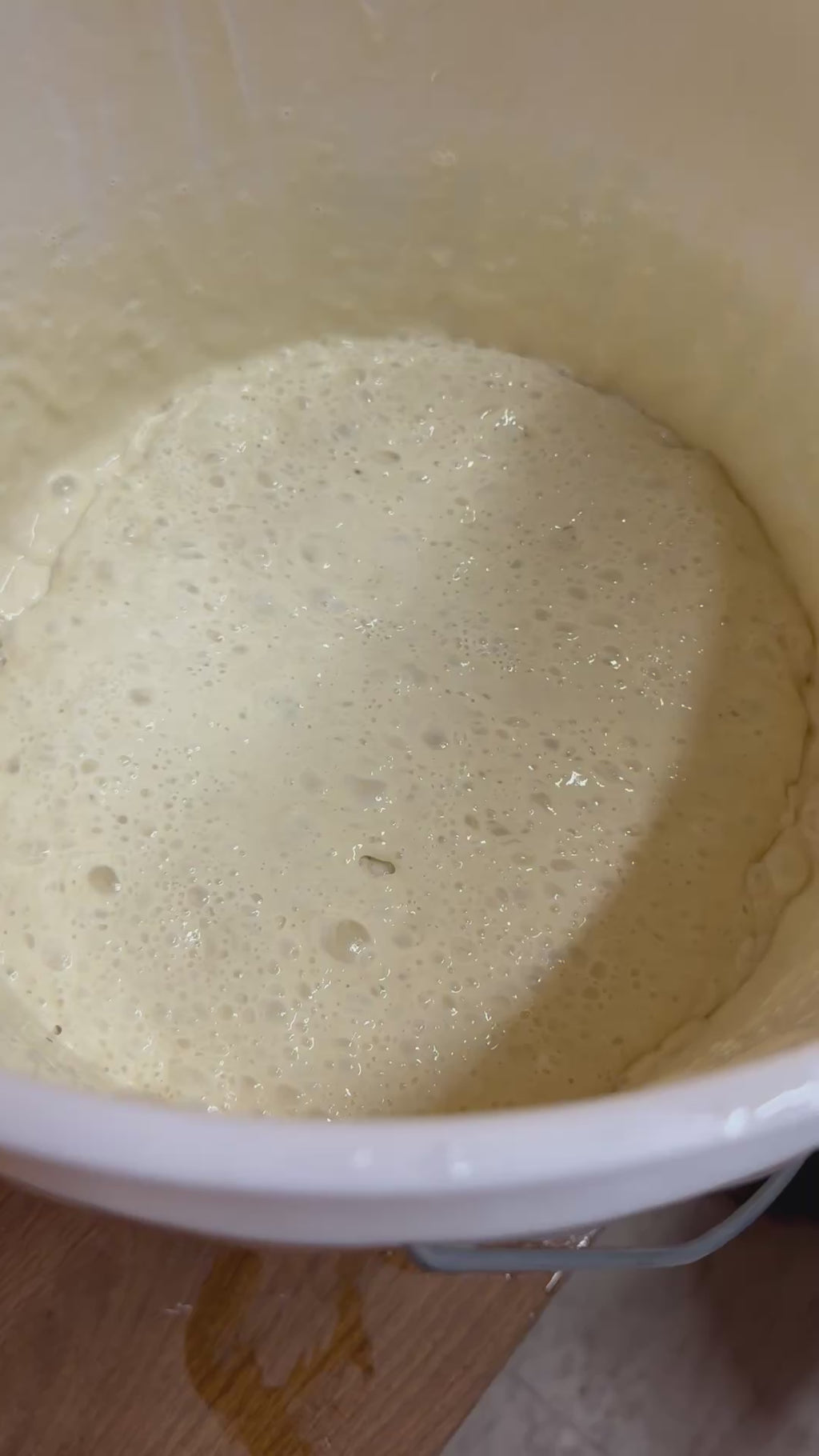 Sourdough Bakers-Active Live Sourdough Dehydrated Starter