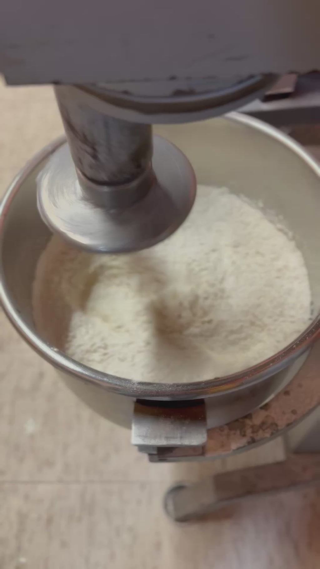 Sourdough Bakers-Active Live Sourdough Dehydrated Starter